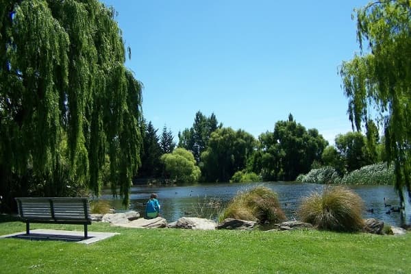 Picnic area by the lakeside with trees and seating
